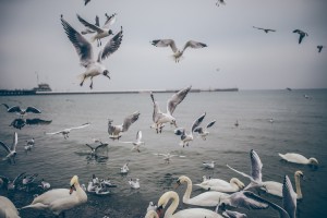 psychoterapia-PsychoMedic.pl