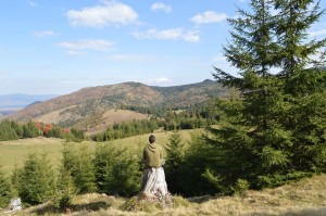 natura-PsychoMedic.pl