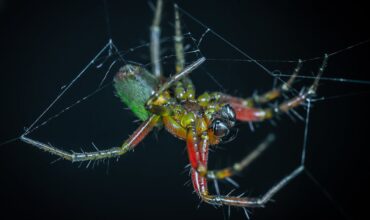 Sposoby na zapobieganie fobii