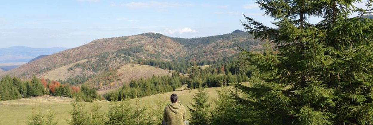 natura-PsychoMedic.pl