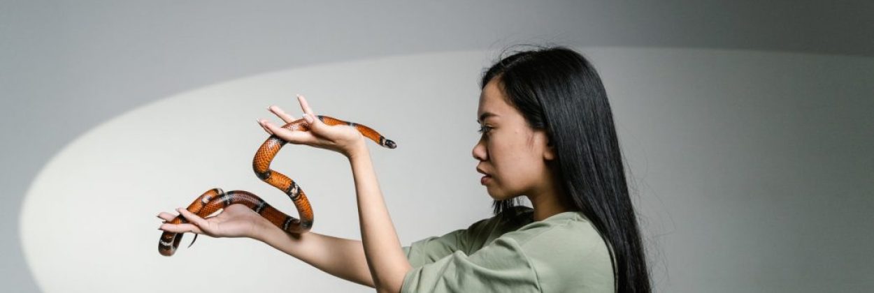Fobia - czym jest, jak odróżnić ją od zwykłego strachu i jak ją leczyć?