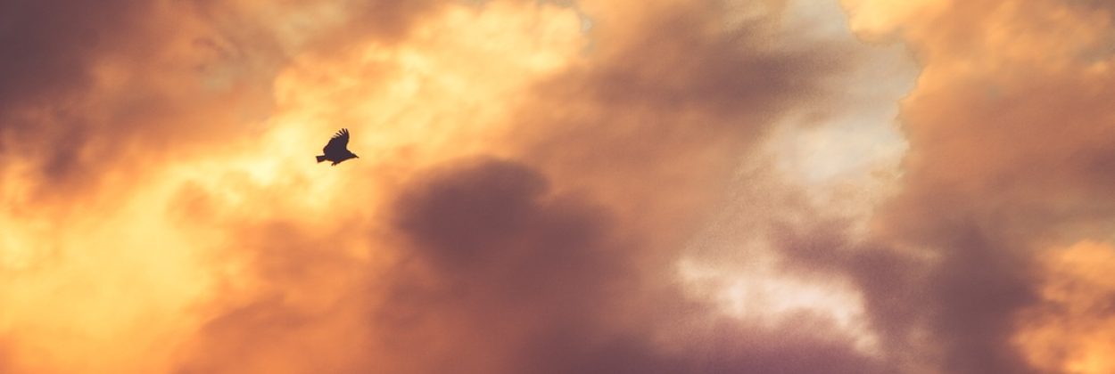 podejście do życia-PsychoMedic.pl